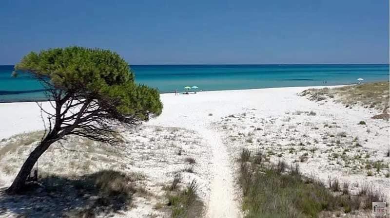 Le Residenze Del Mare Affittacamere